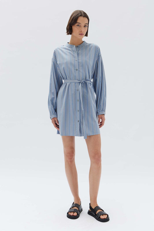 Luna Cotton Blend Stripe Mini Dress- Glacial Stripe