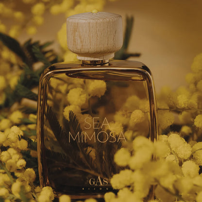 Sea Mimosa - 50ml